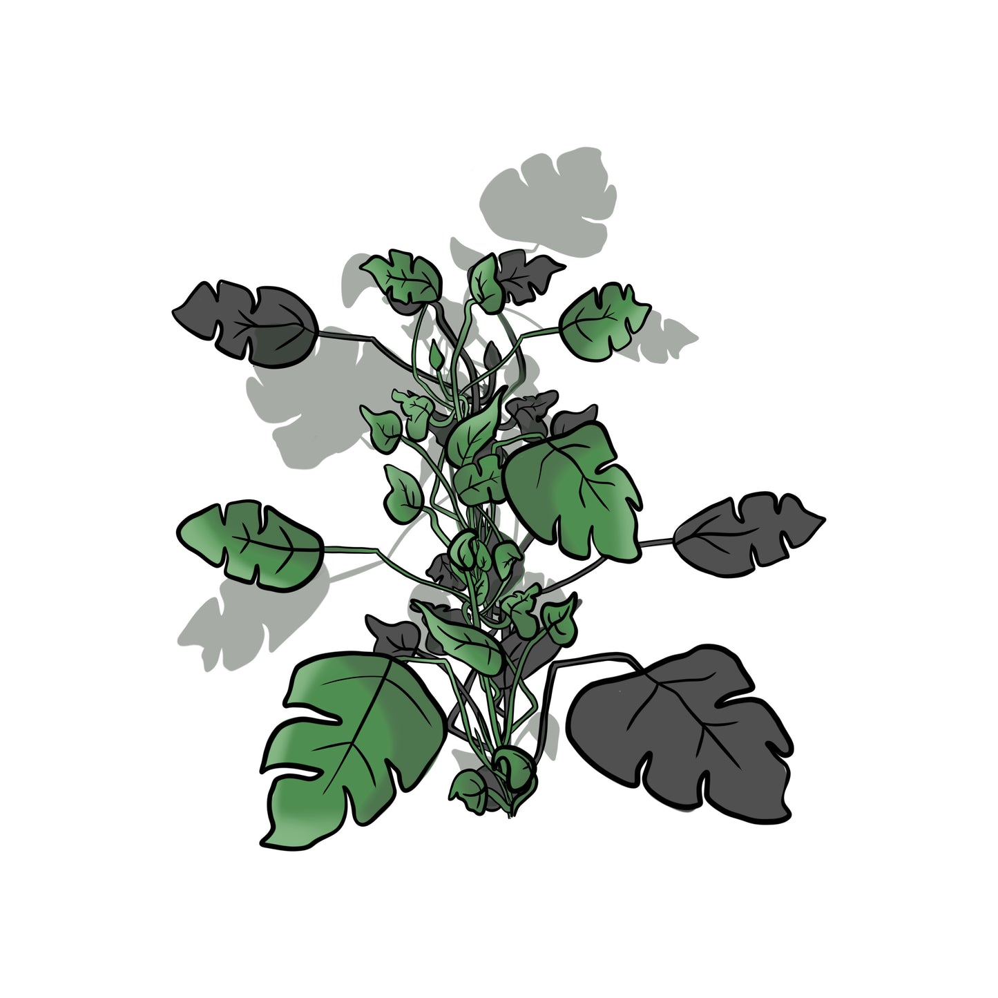 MONSTERA | CLOTHING | CREWNECK | HOODIE | T-SHIRT | HAT