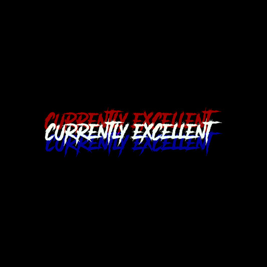 CURRENTLY EXCELLENT | MERICA | CLOTHING | CREWNECK | HOODIE | T-SHIRT | HAT