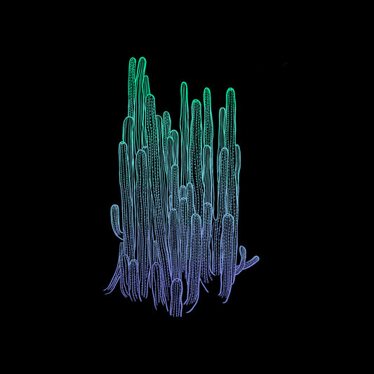 CACTUS PATCH | CLOTHING | CREWNECK | HOODIE | T-SHIRT | HAT