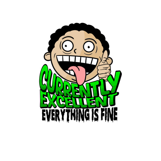 CURRENTLY EXCELLENT | EVERYTHING IS FINE | CLOTHING | CREWNECK | HOODIE | T-SHIRT | HAT